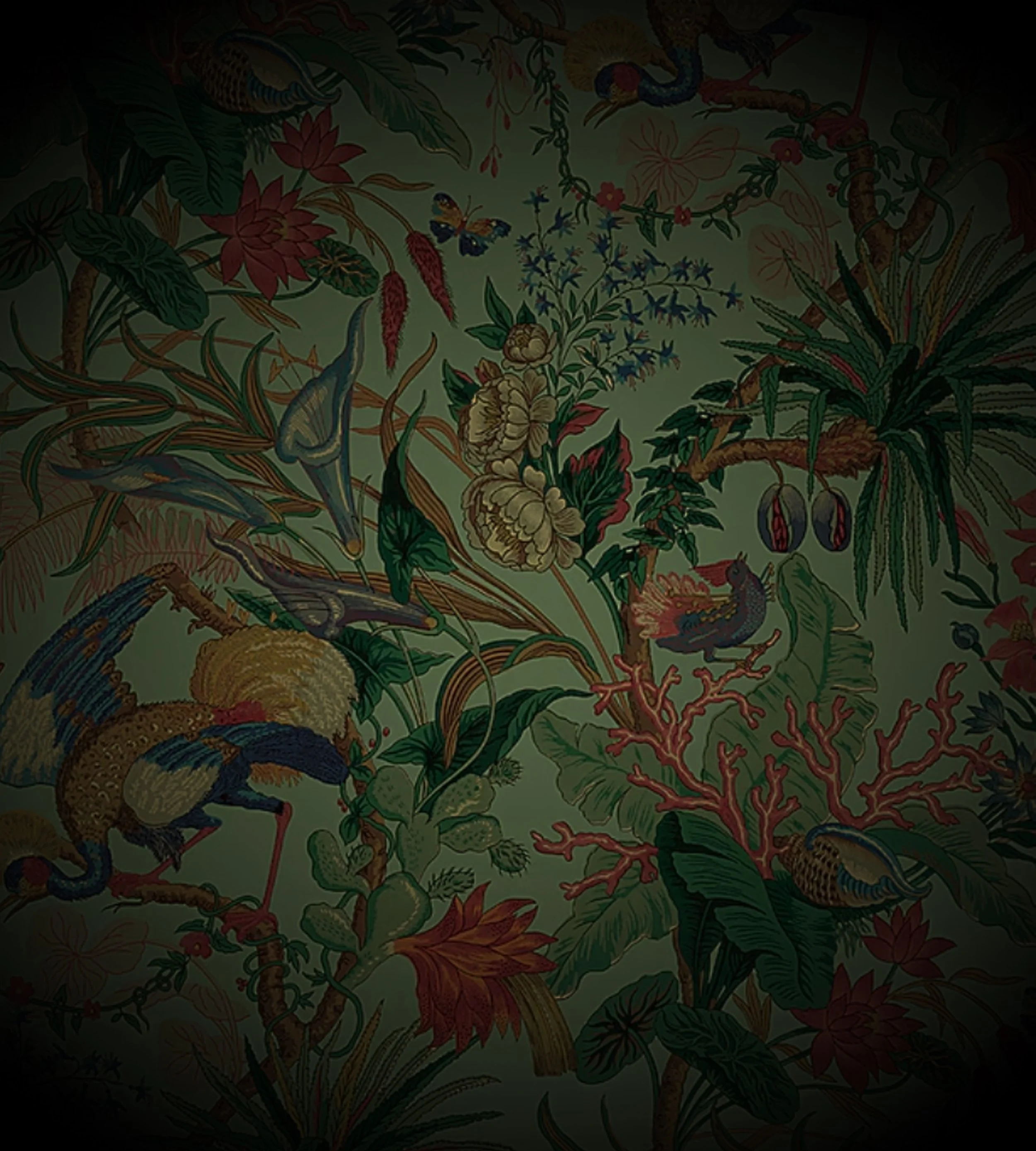 about background.jpg