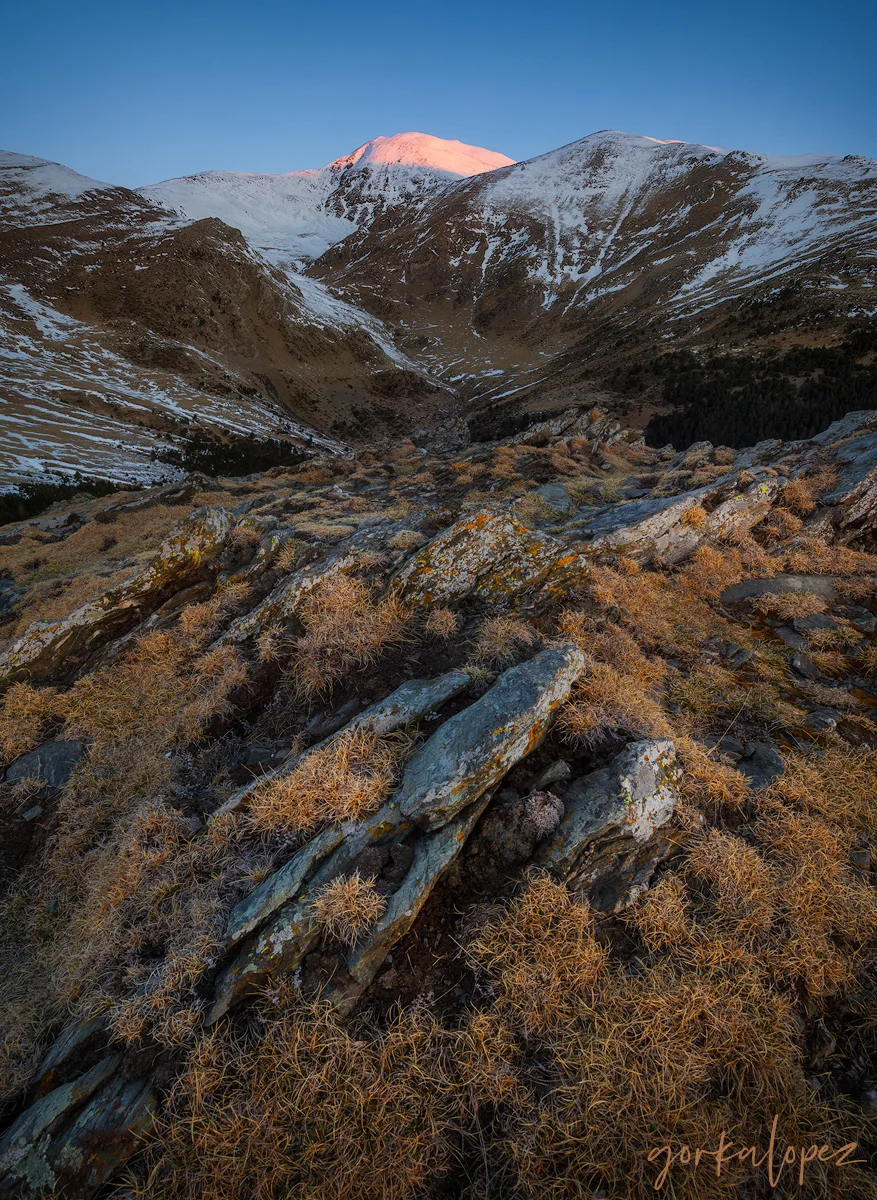 First Lights