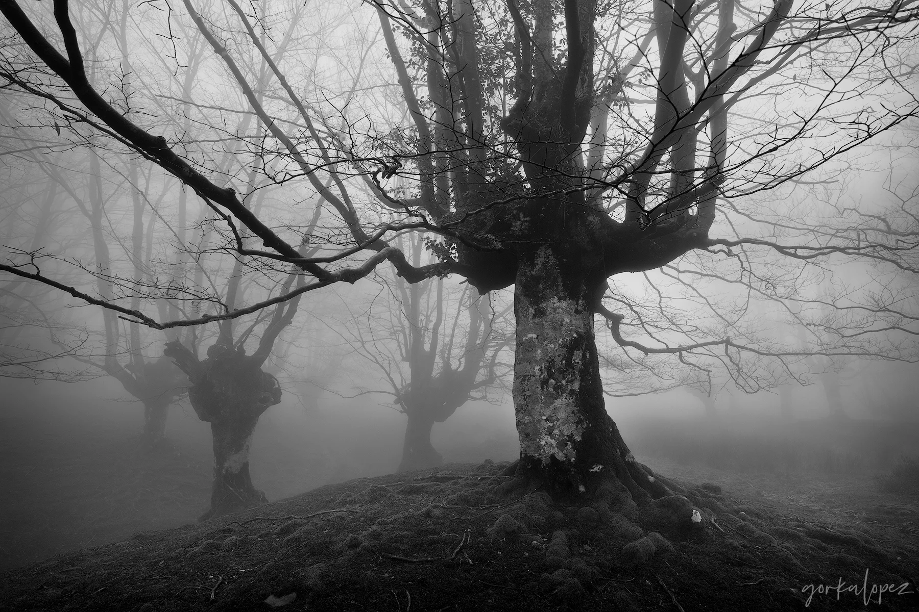 Spectral