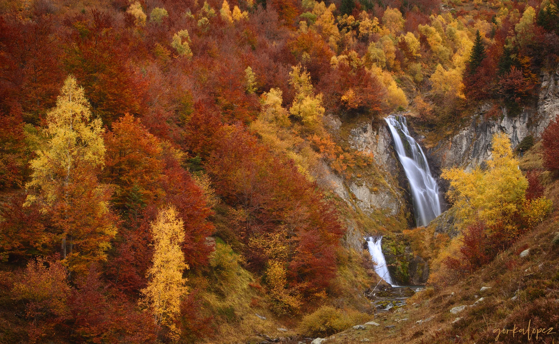 Autumn Burst