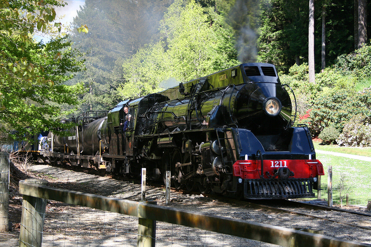 steam train mainline trips