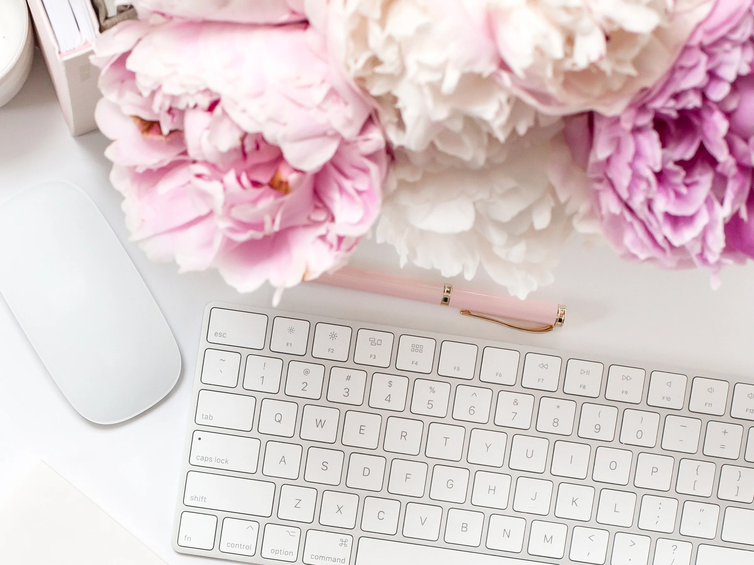 haute-stock-photography-peony-desktop-collection-final-17.jpg