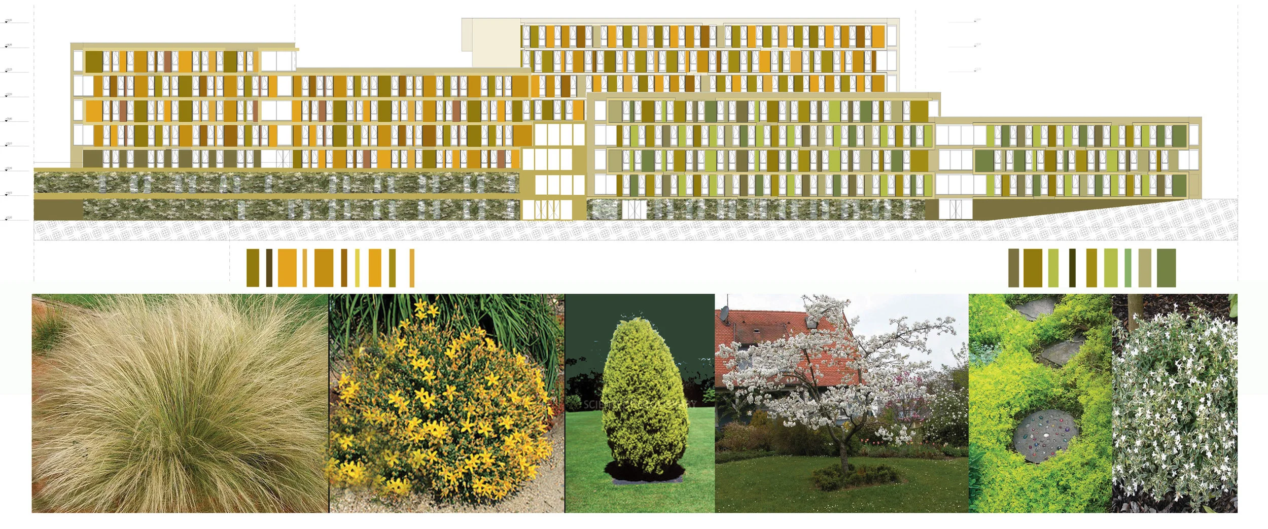 OZU student residence_FACADE COLOR PALETTE ELEVATION.jpg