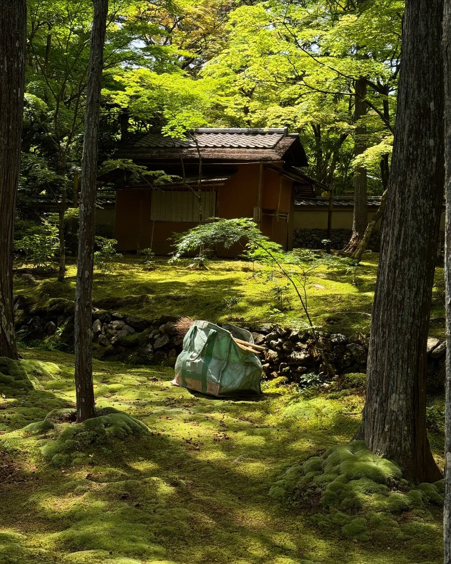 Saihō-ji in April

Founded in 731, the temple and garden passed through the Hossō and Jōdo sects, before converting to the Rinzai sect of Zen Buddhism in 1339. The grounds were destructed by three wars, two fires and two floods during the 14-1800s. S