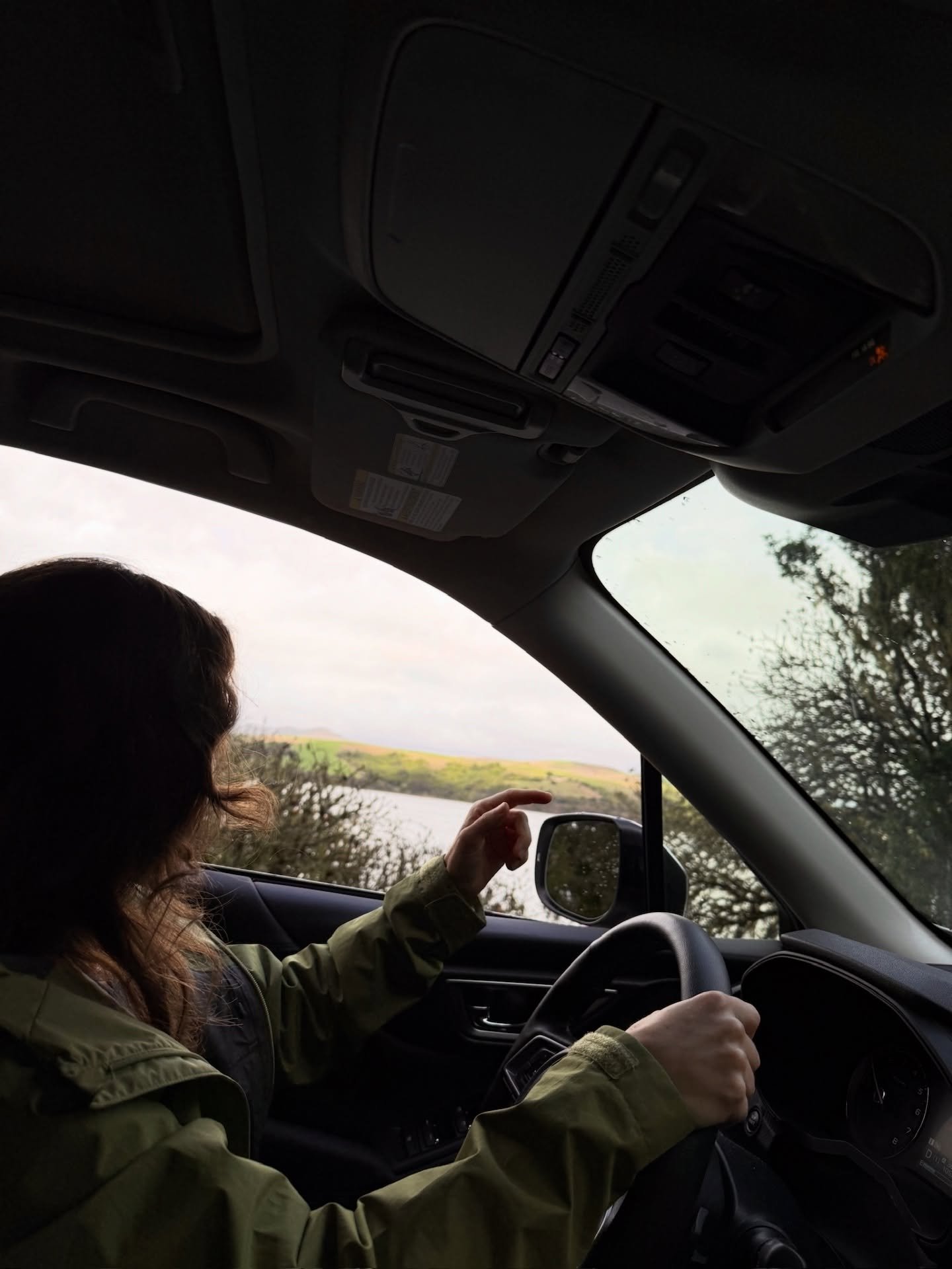 Sunset inside a cloud on Point Reyes.