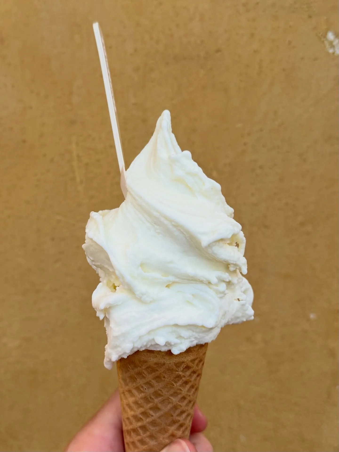 Rome ~ June 2024. My first coffee in two years was a granita di caff&egrave; con panna, on a 90&deg; day. It drizzled for just the ten seconds I stood under the oculus.
