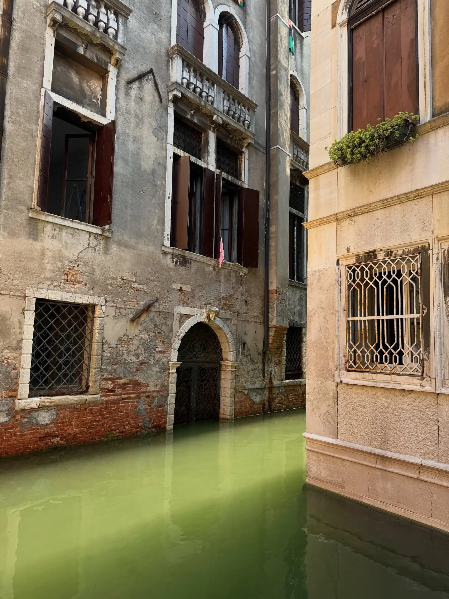 Venice ~ June 2024. This place made me feel big things.