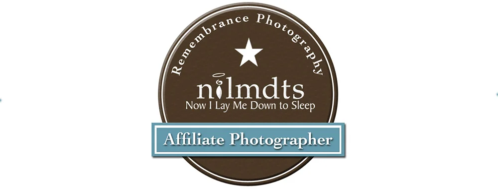 NILMDTS.jpg