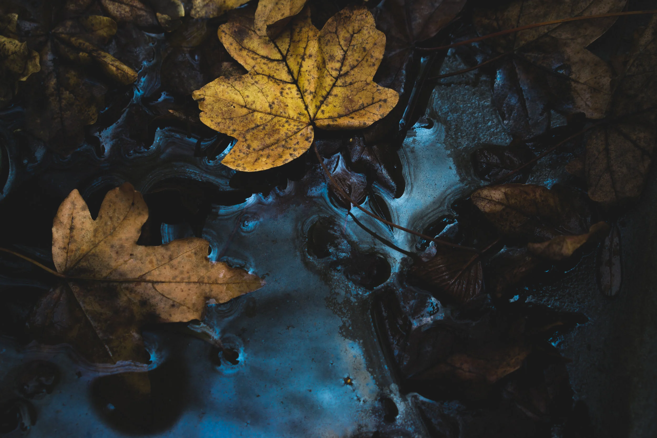 A Stream