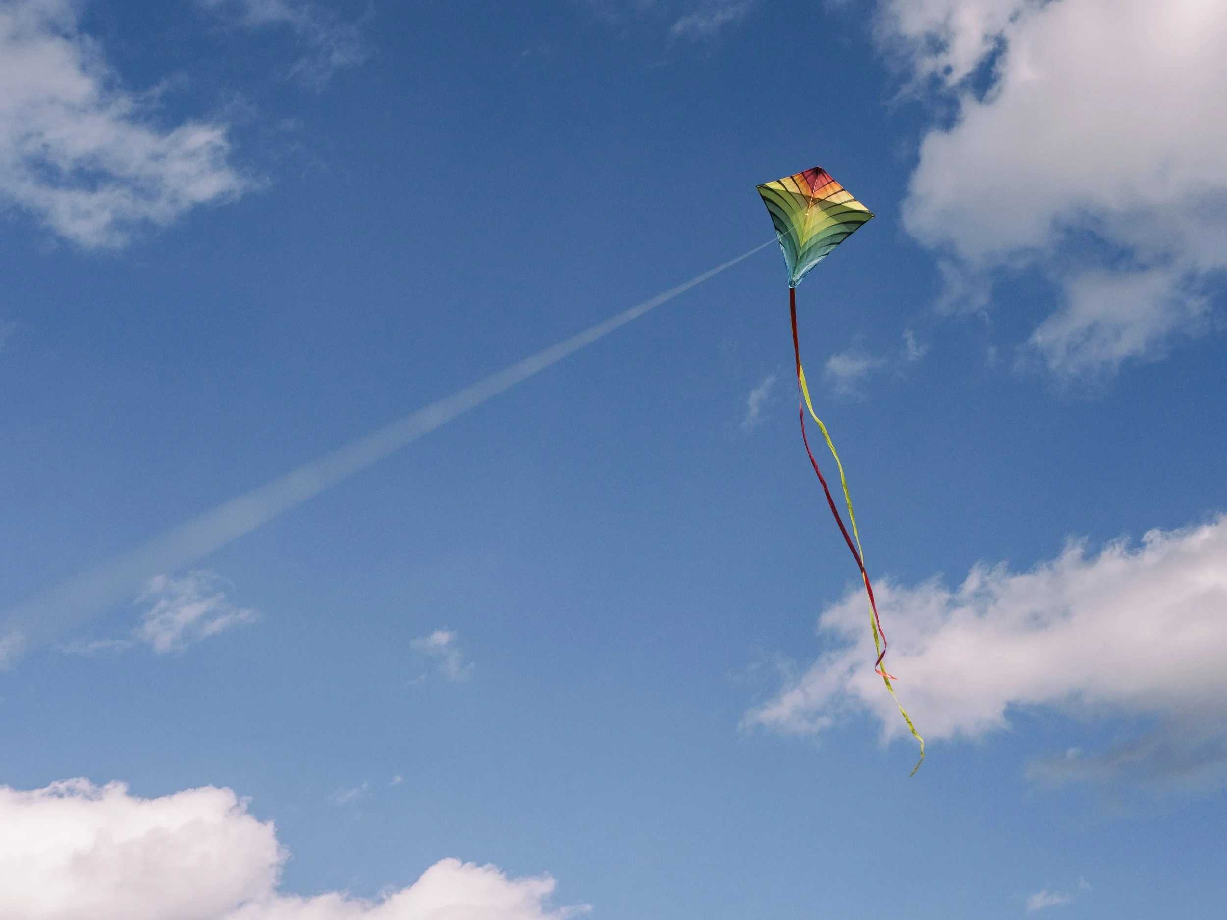 Soar