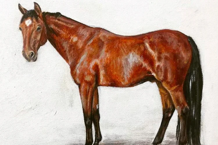 Painting of a brown horse standing on a white background.