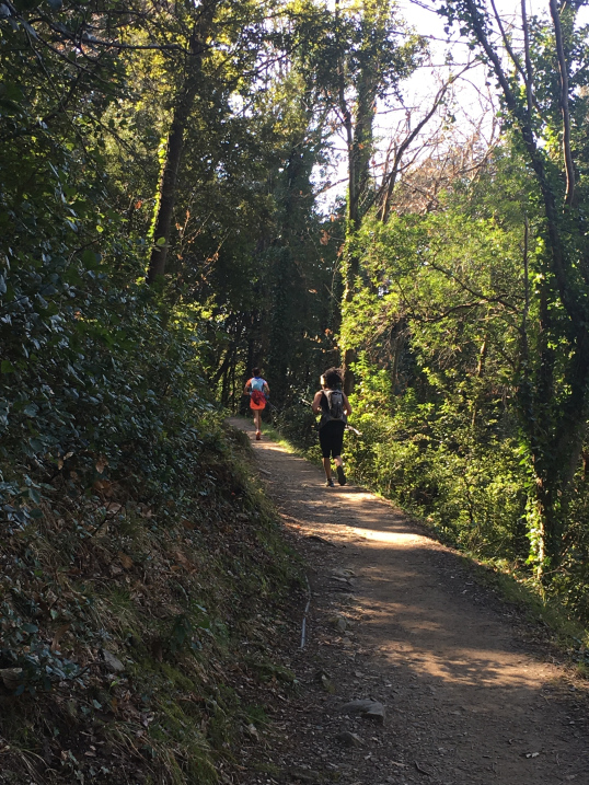 manarola-corniglia-trail-runners.jpg