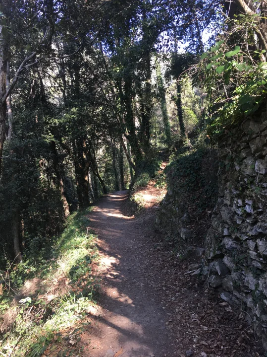 manarola-corniglia-covered-trail-fav-part.jpg