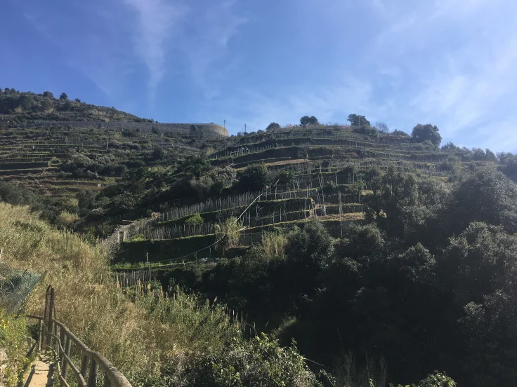 vena-monto-valley.jpg