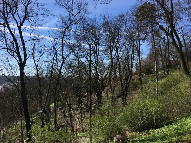 petrin-hill-garden-view.jpg
