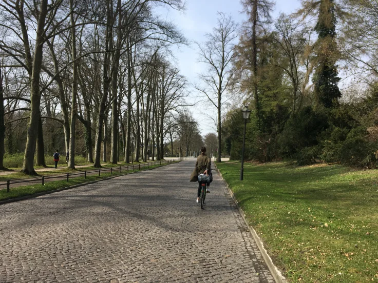 potsdam-biking-through-the-park.jpg