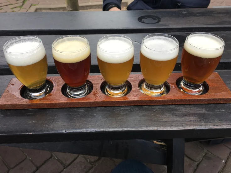 brouwerij-t-ij-beer-tasting.jpg
