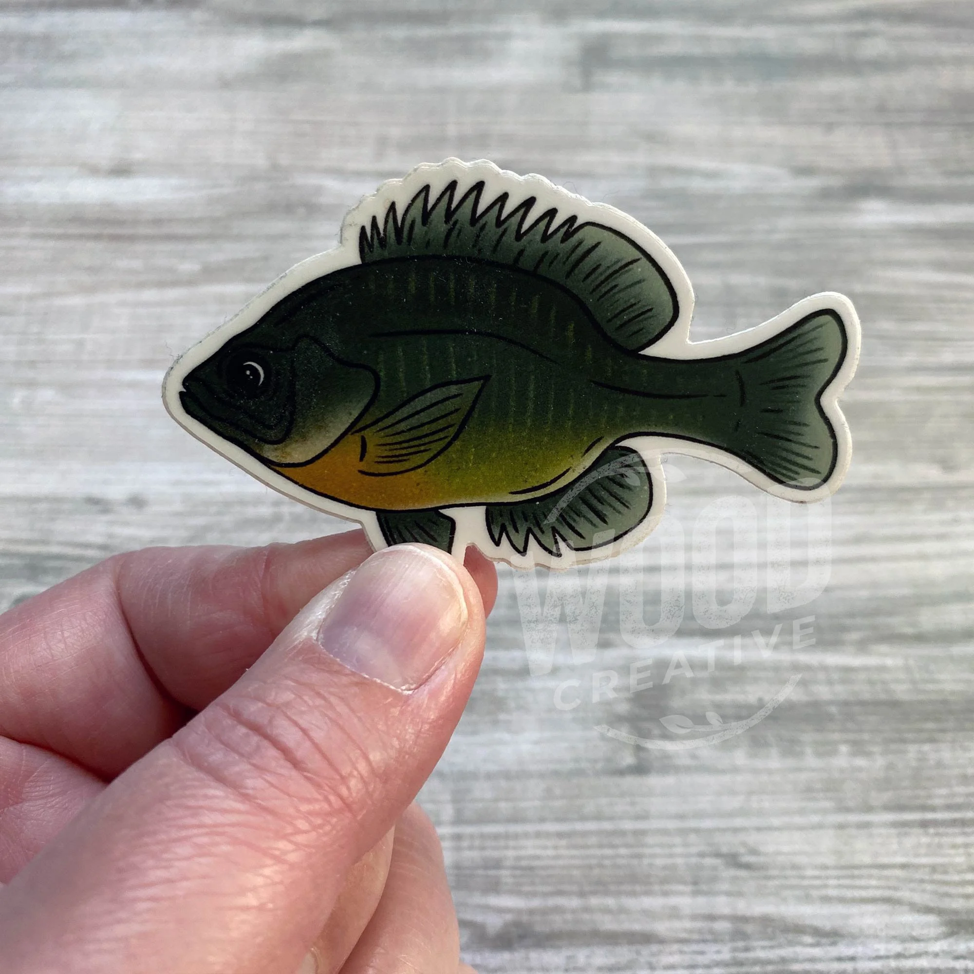 bluegill3.jpg