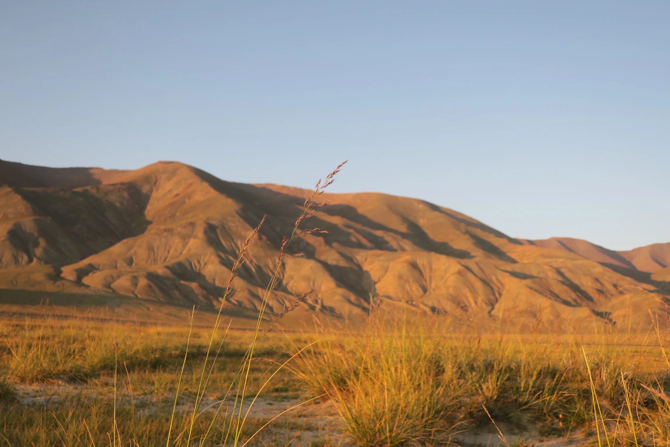 Day 37: Enter Mongolia