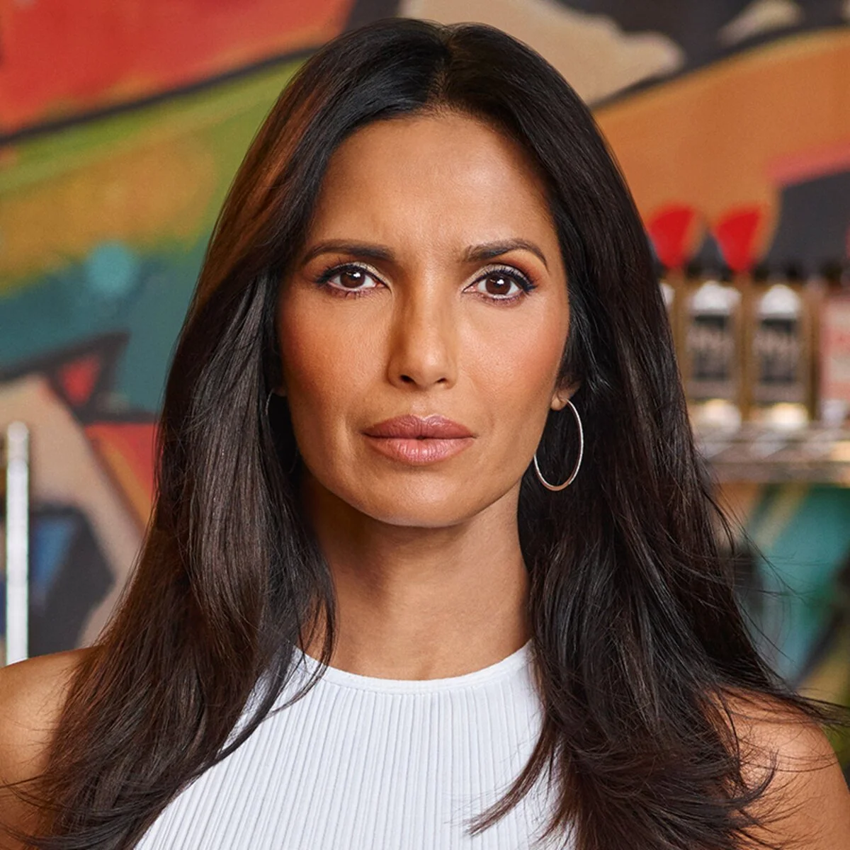 падма лакшми сейчас. Padma lakshmi. падма лакшми 2018. падма лакшми пираты 1999. падма лакшми.