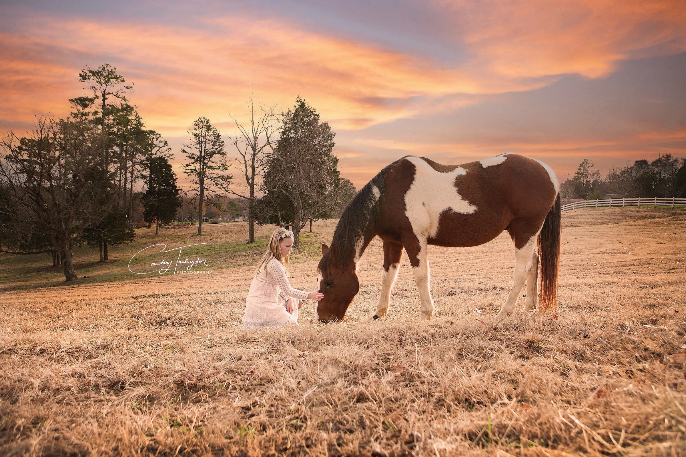 Capturing Stunning Portraits with Your Horse