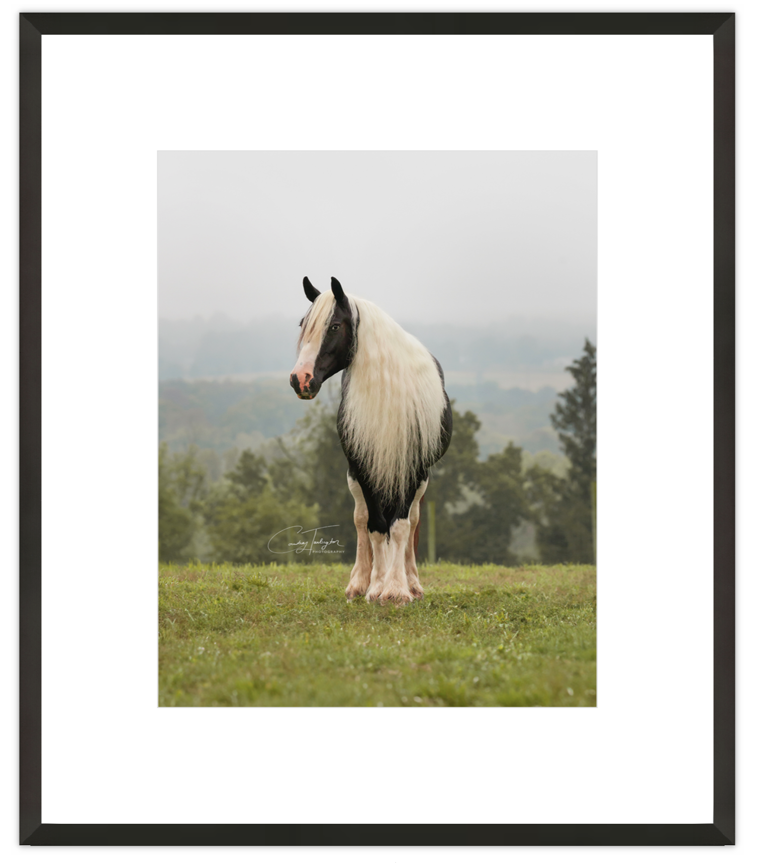 Screenshot 2026-01-13 at 4.03.52 PM.png