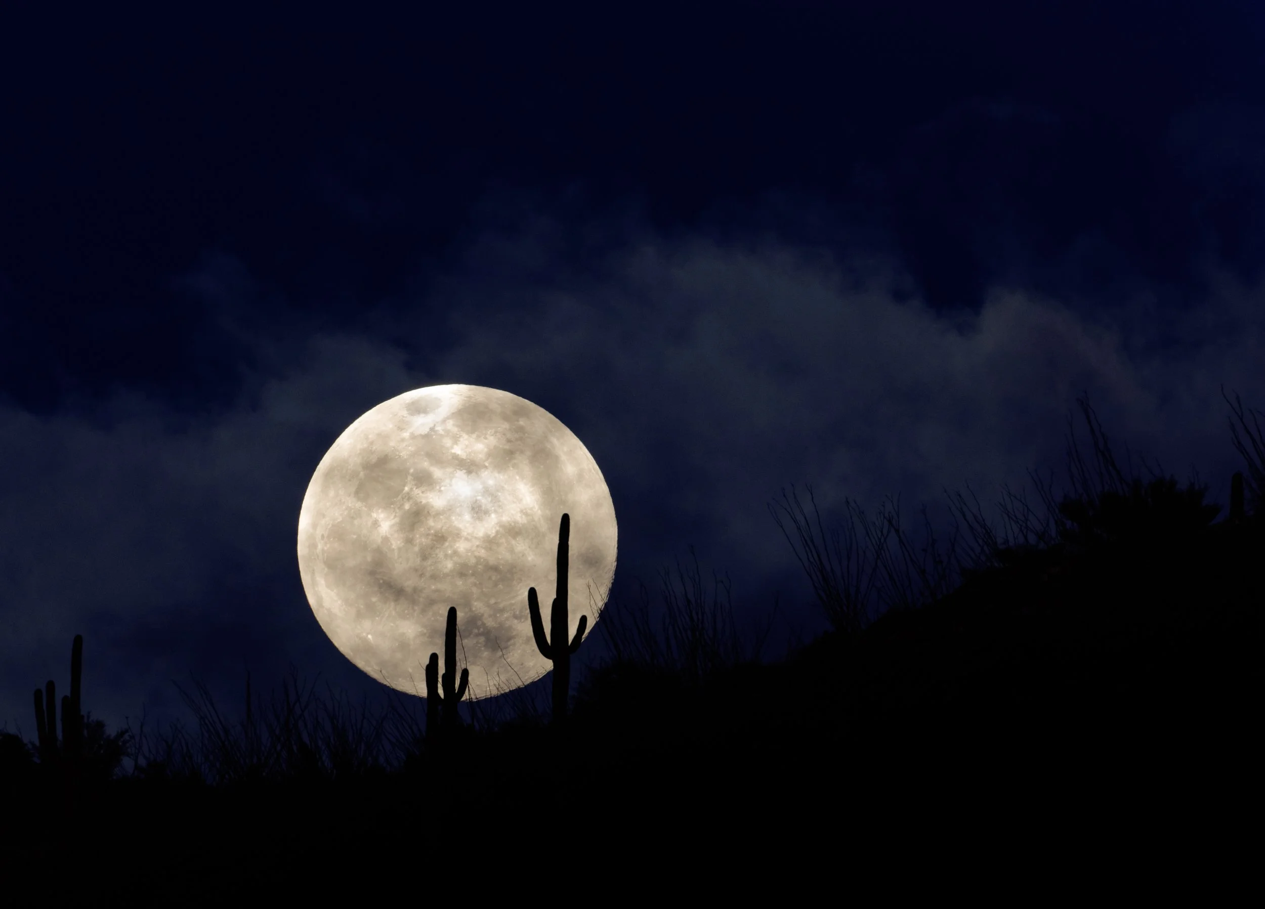 Saguaro full moon 6795_.jpg