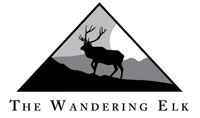 Current/Old Logo