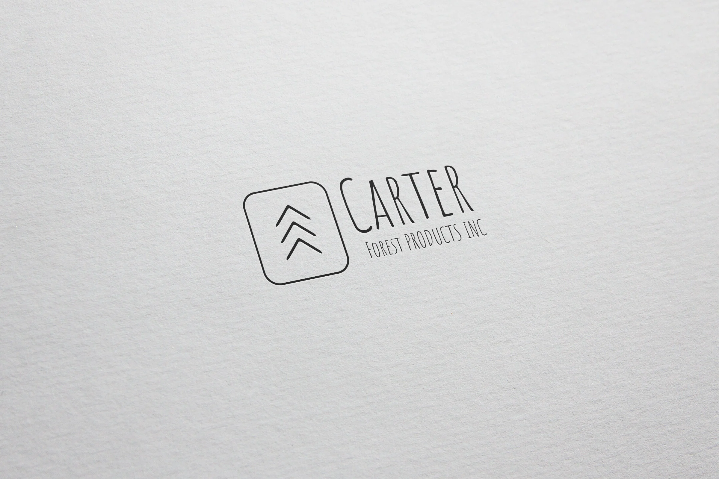 CarterForestExamples2020_V17.jpg