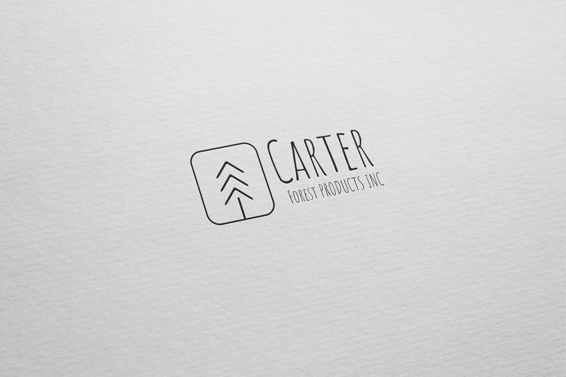 CarterForestExamples2020_V18.jpg