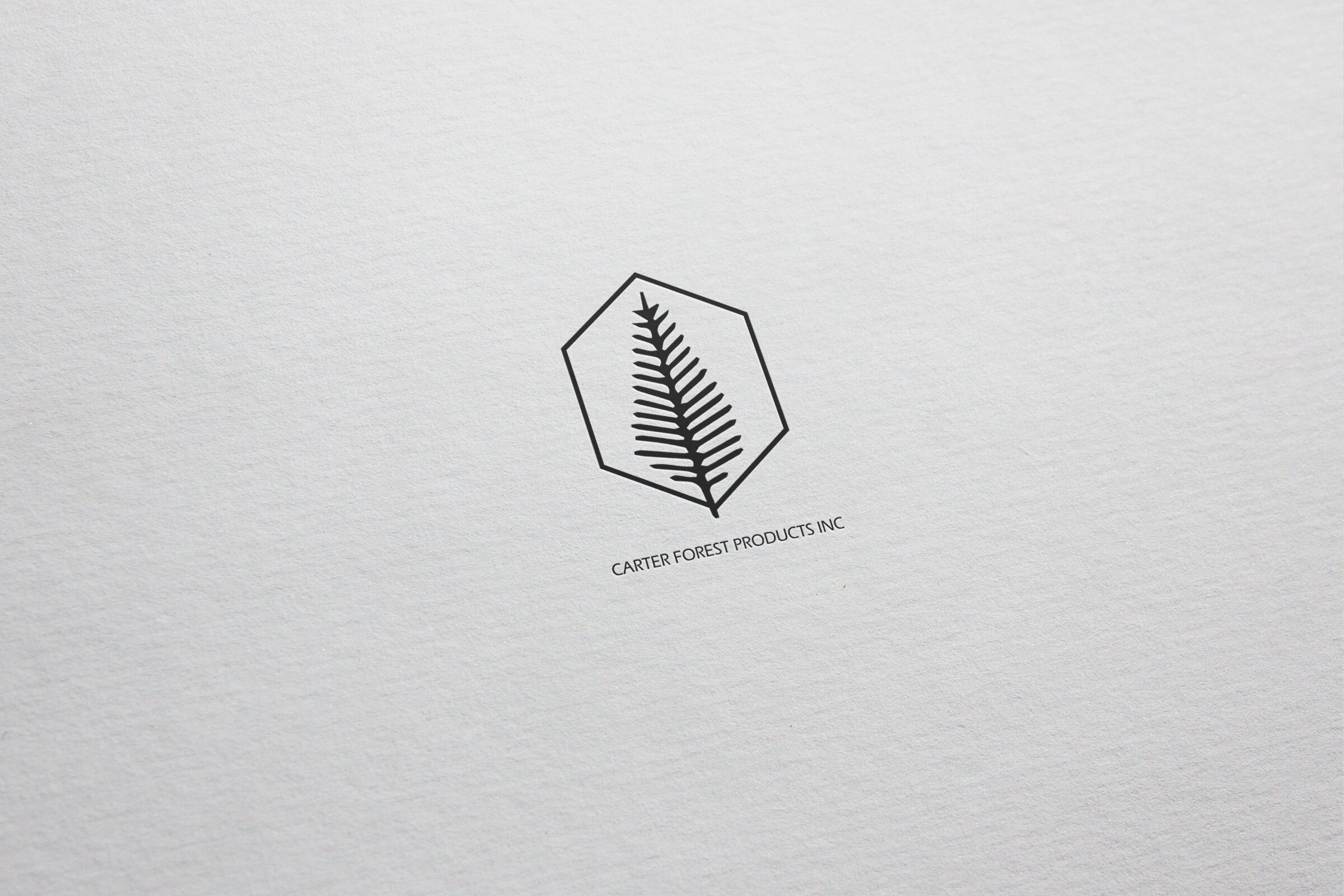 Logo Design