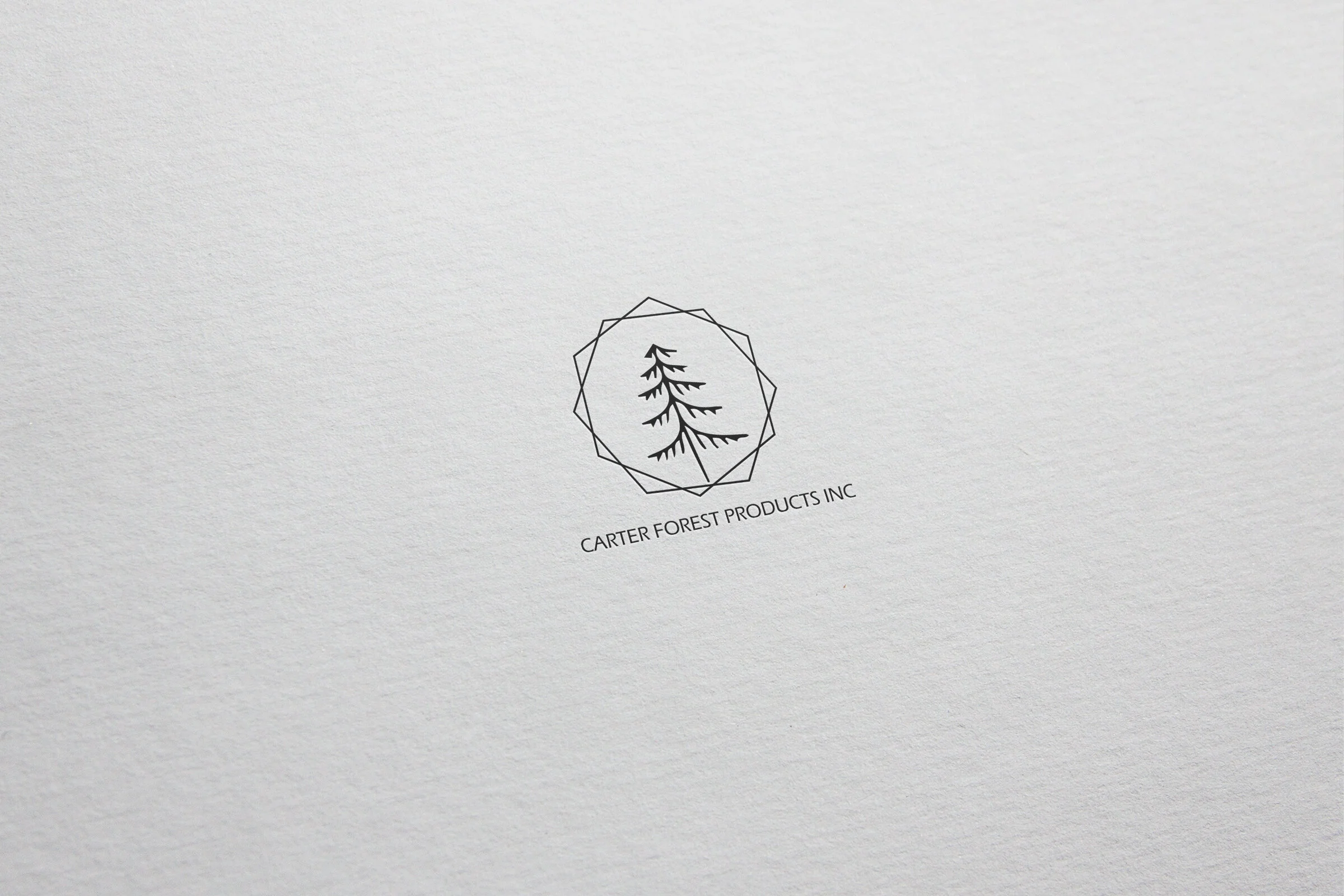 Logo Design
