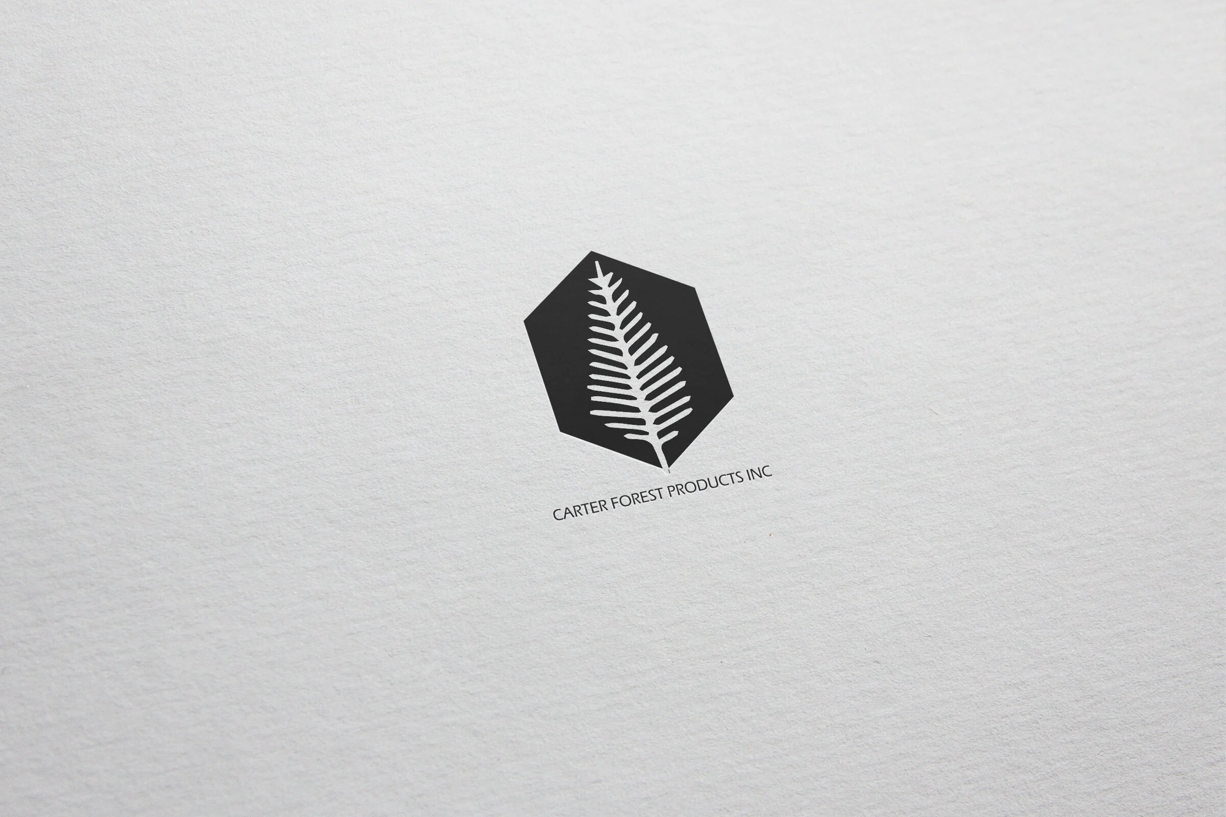 Logo Design