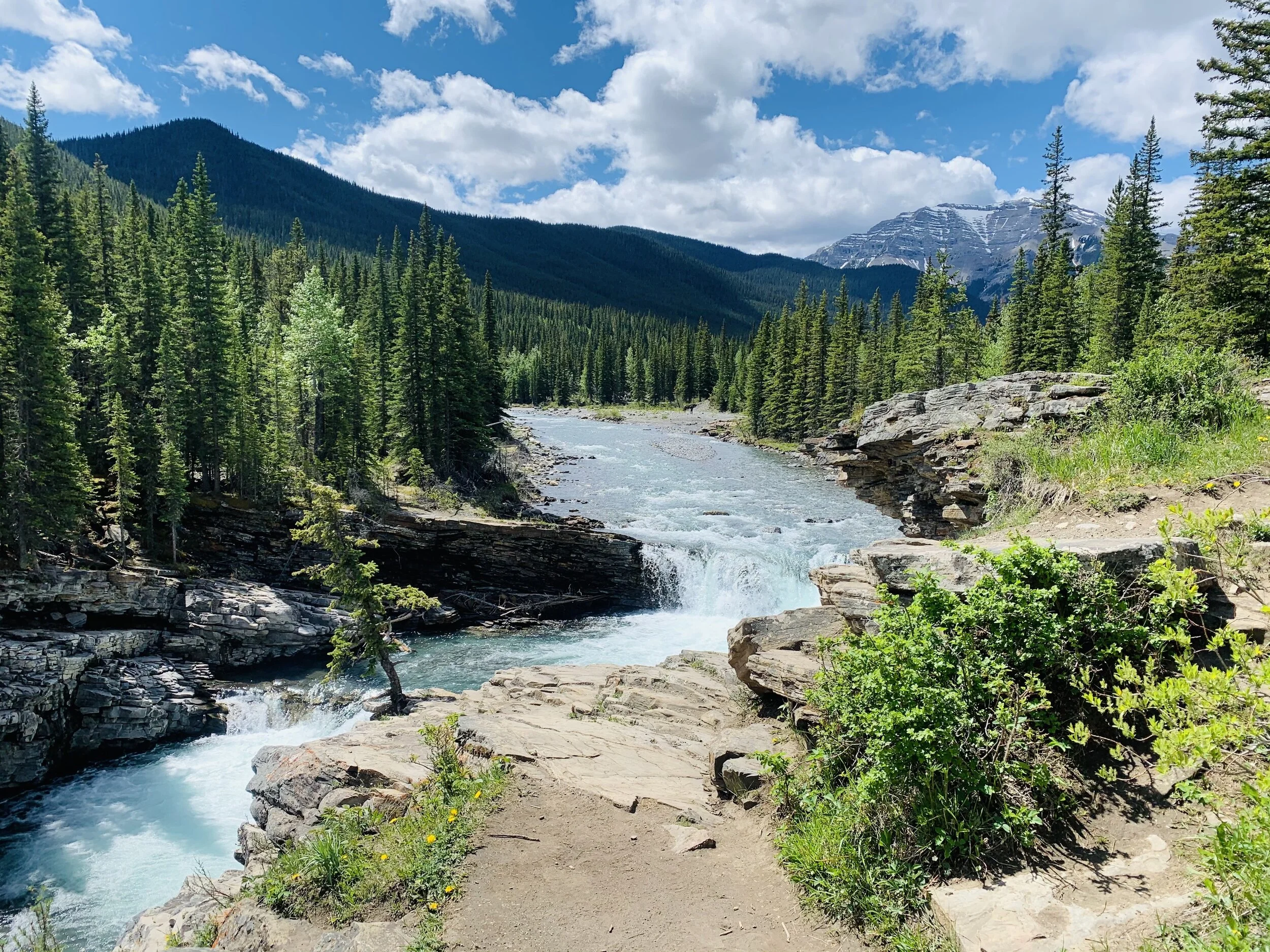 Camping Sandy McNabb 