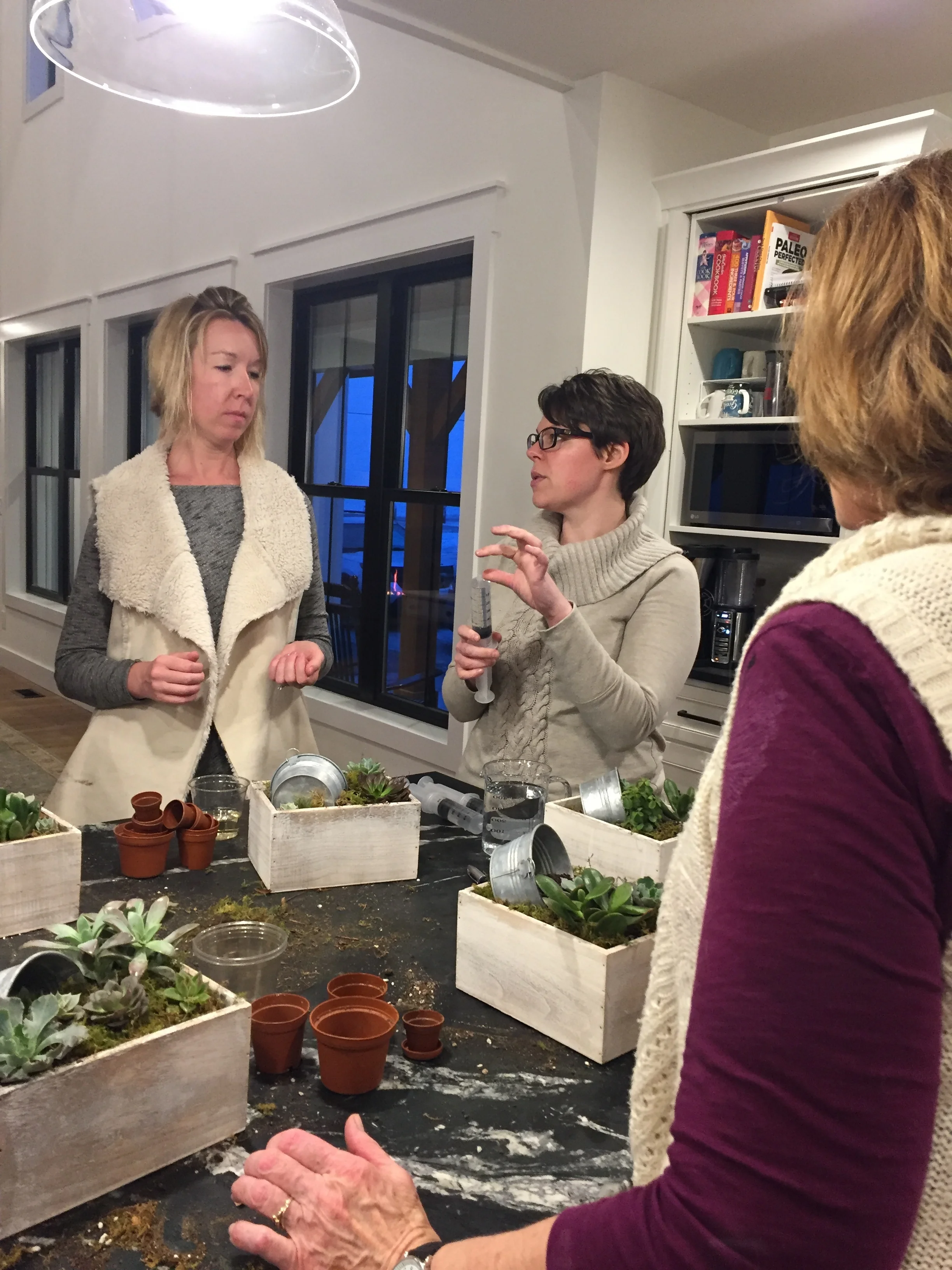 SucculentWorkshop2.jpg