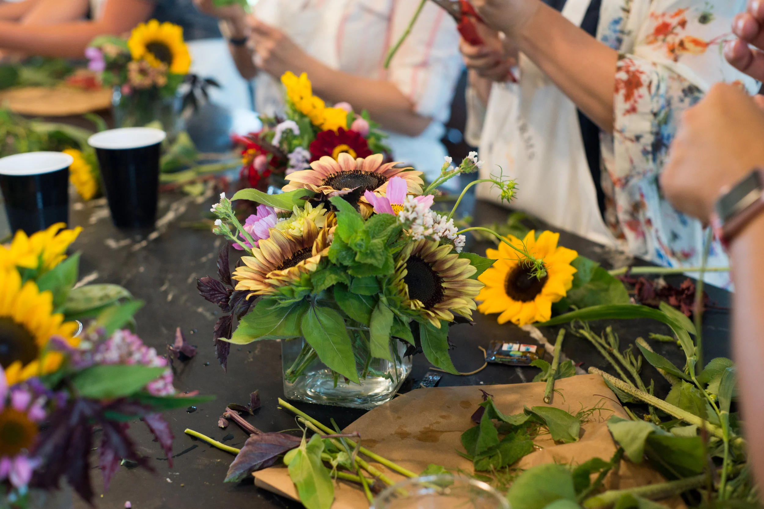 SummerWorkshop2.jpg