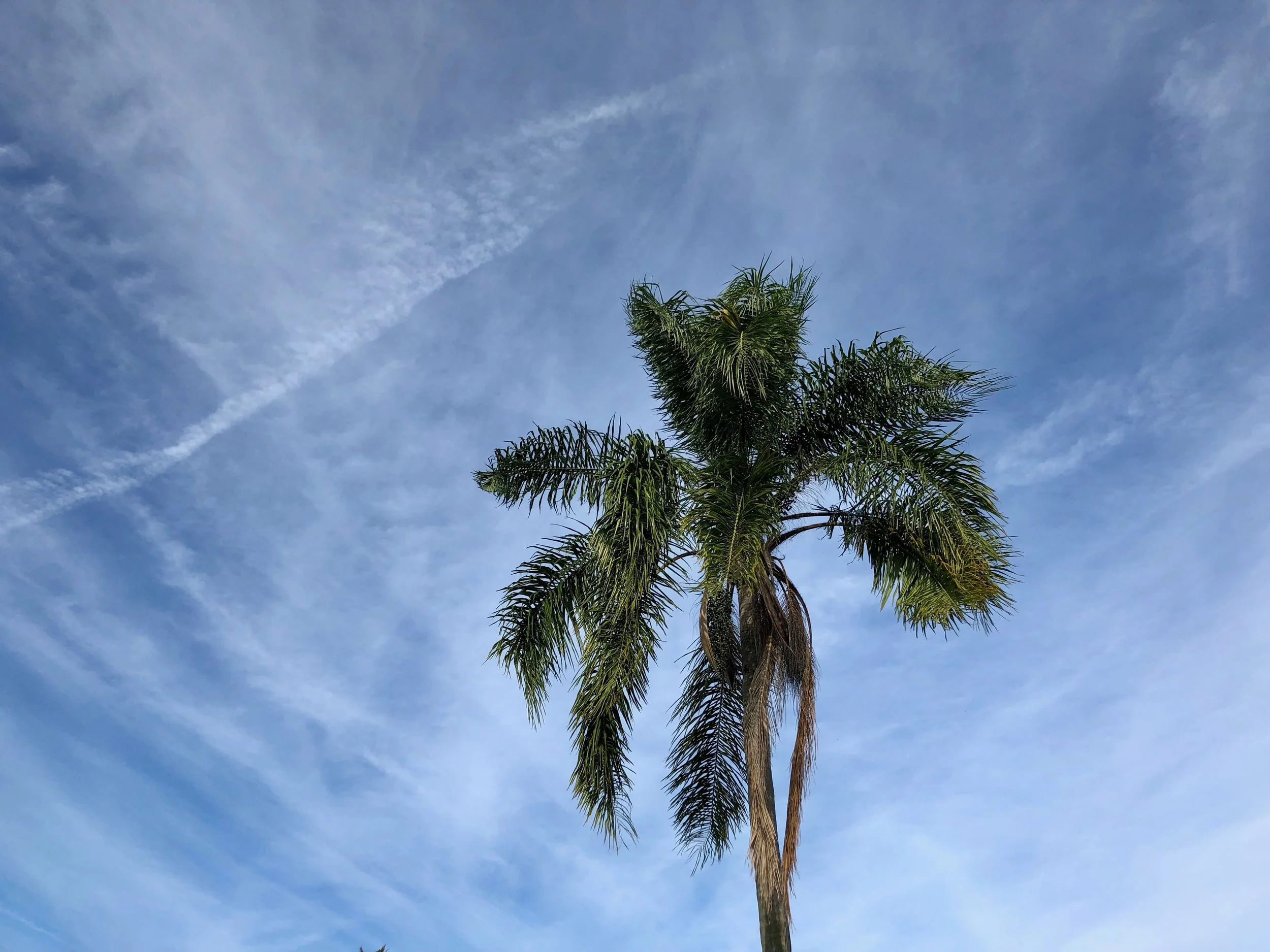 A Northern Soul Goes South