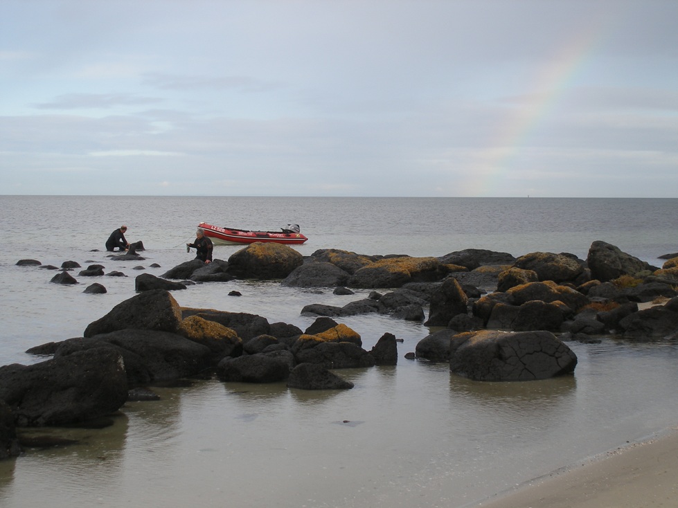 1. Rainbow warriors Stuart.JPG