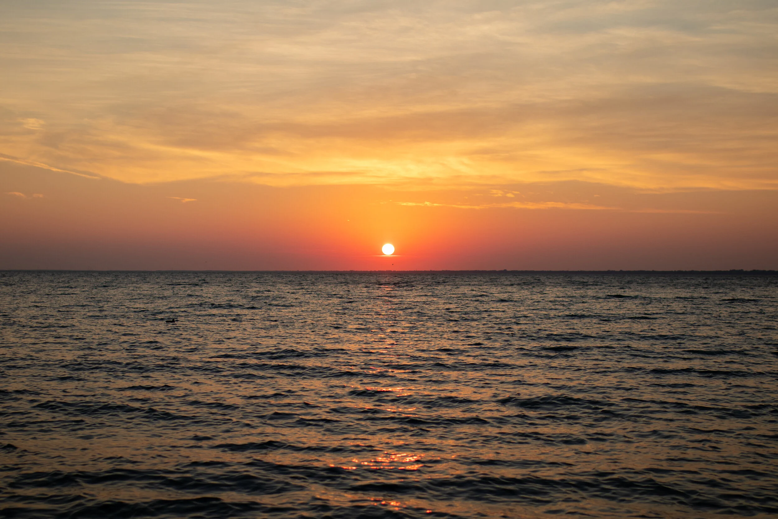 F1347721-B3FD-4985-AE4D-25C54EBF7089.jpeg