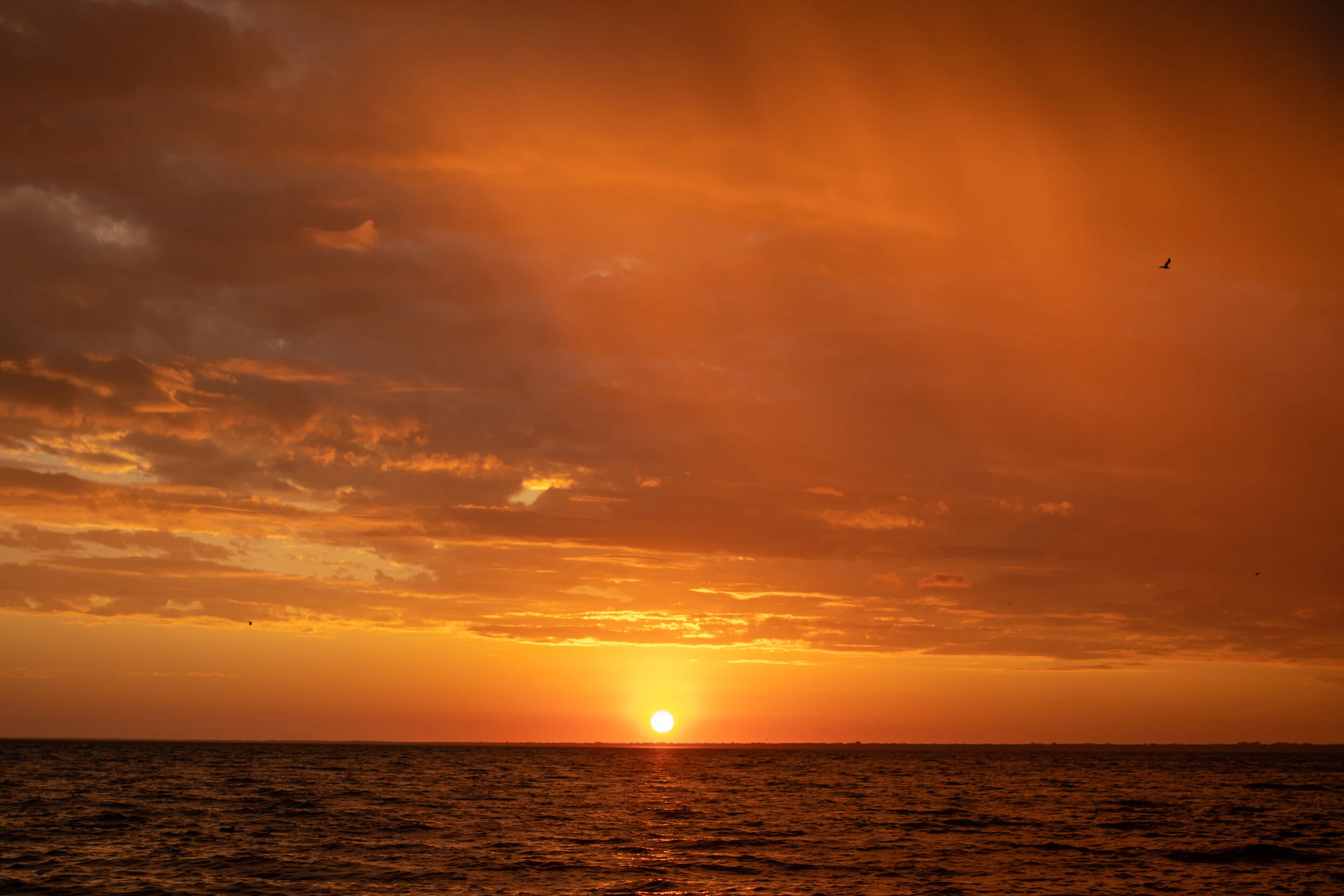 5F631380-B138-4CB3-B094-EDF1C7276F53.jpeg