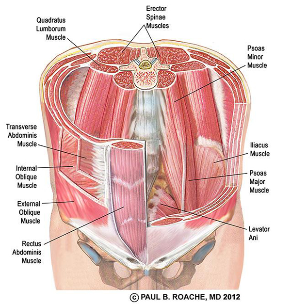 image2.png