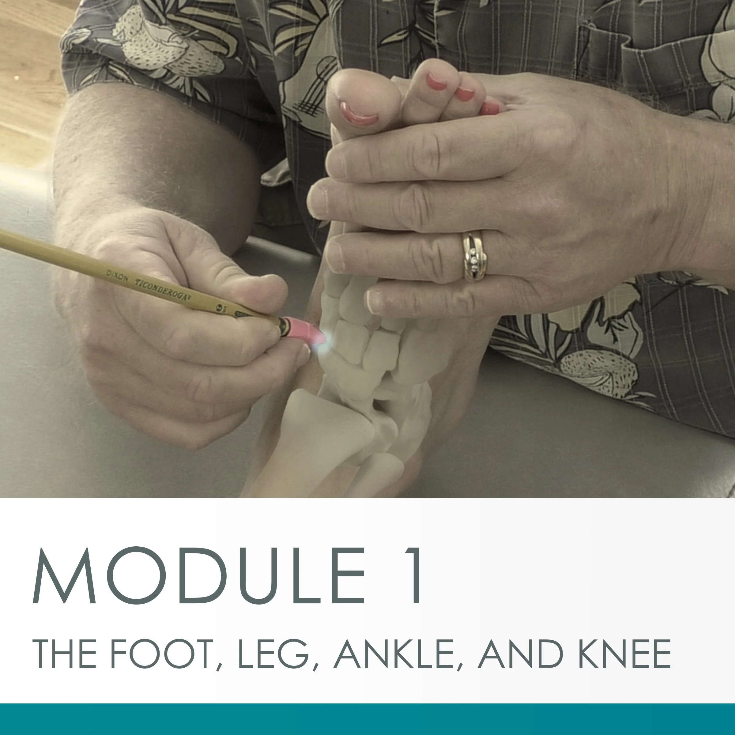 Relax, Release, Relief - Module 1 - May 2