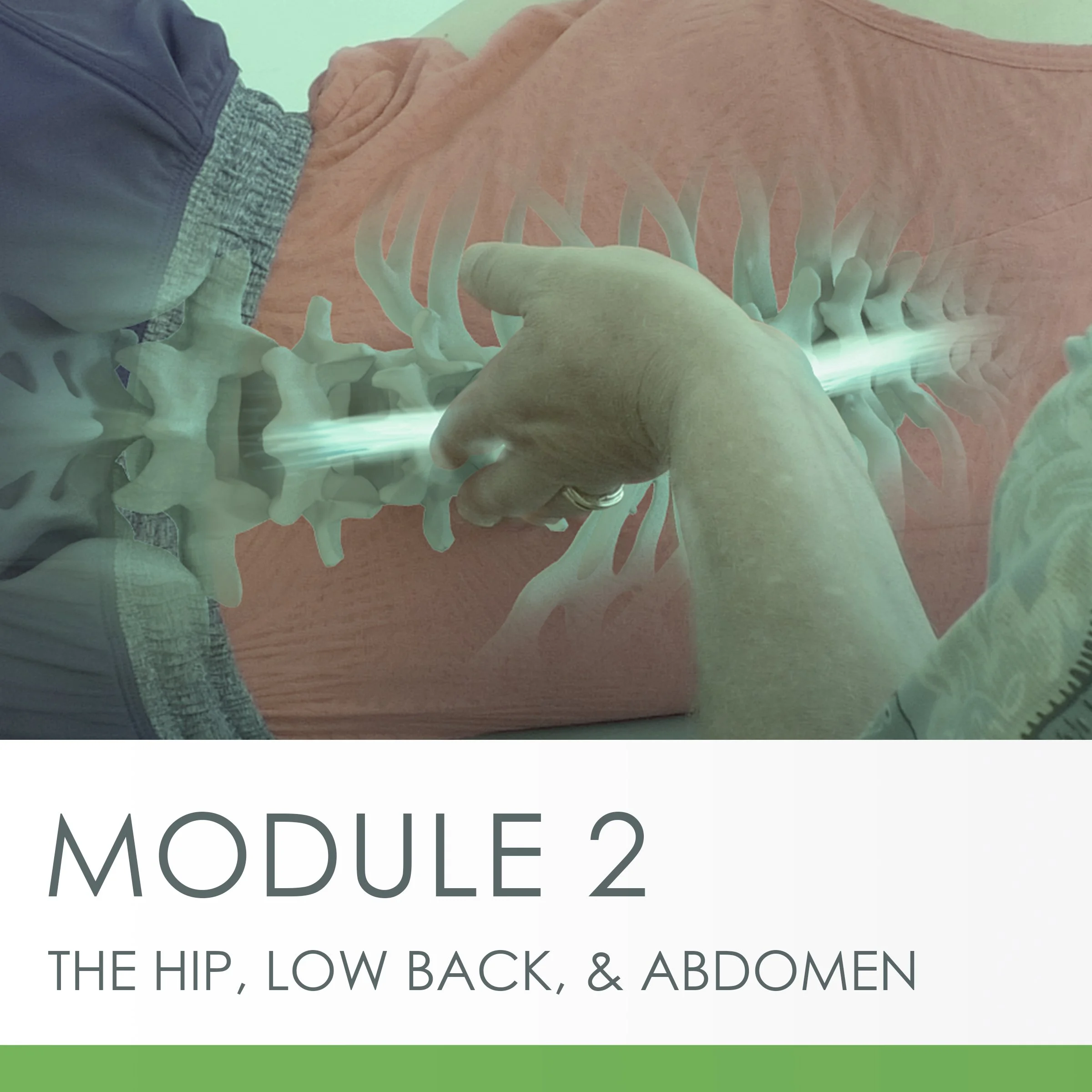 Relax, Release, Relief - Module 2 - May 2