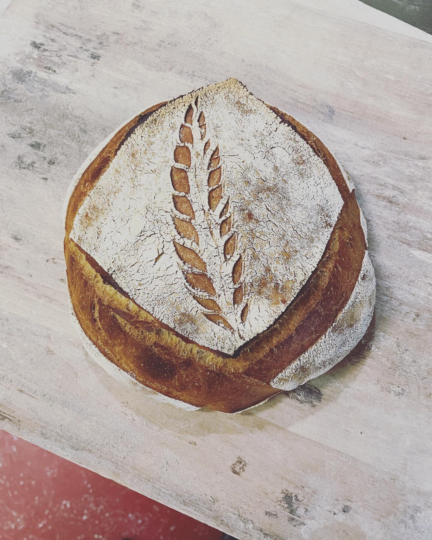 Spelt Sourdough is our special today! It is wonderfully floral and nutty&mdash;a team favorite! Open 7-2. Don&rsquo;t forget to come snag your bread early to get yourself stocked up for our Bonny Break&trade;️ next week!