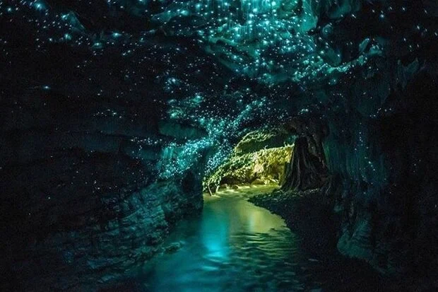 Beautiful Bioluminescence 