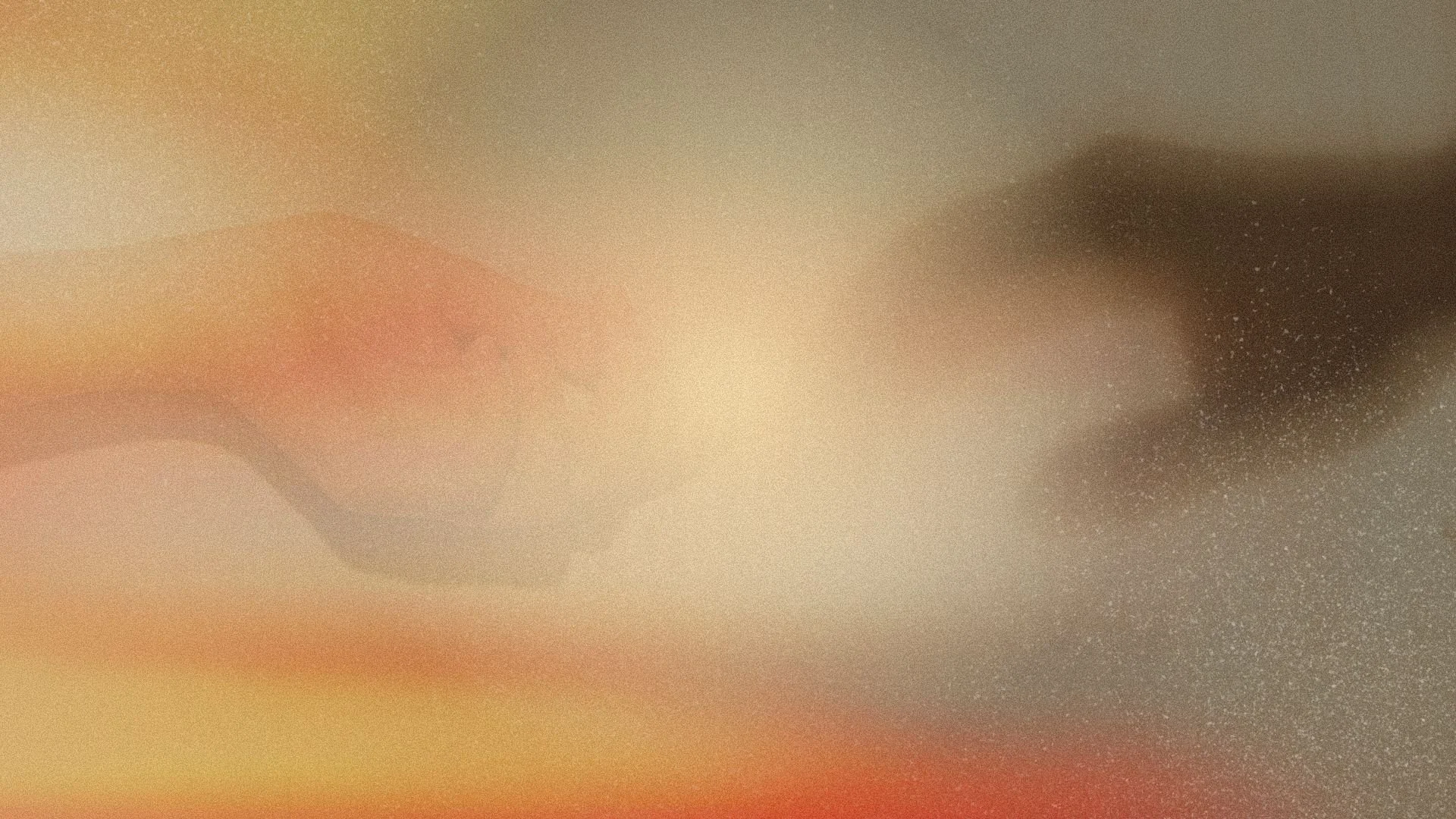 Mark Series BG.jpg