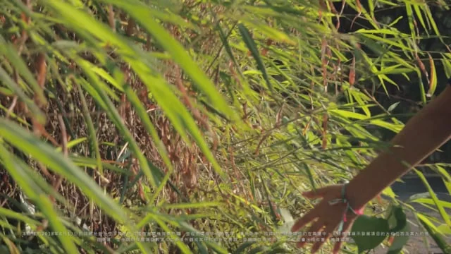 Great Eagle Properties Management - Ontolo