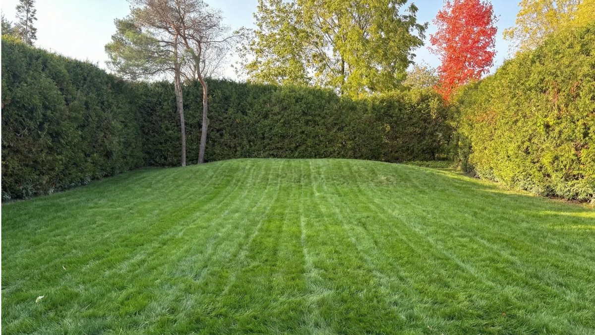 Private Backyard Framed by a Cedar Hedge