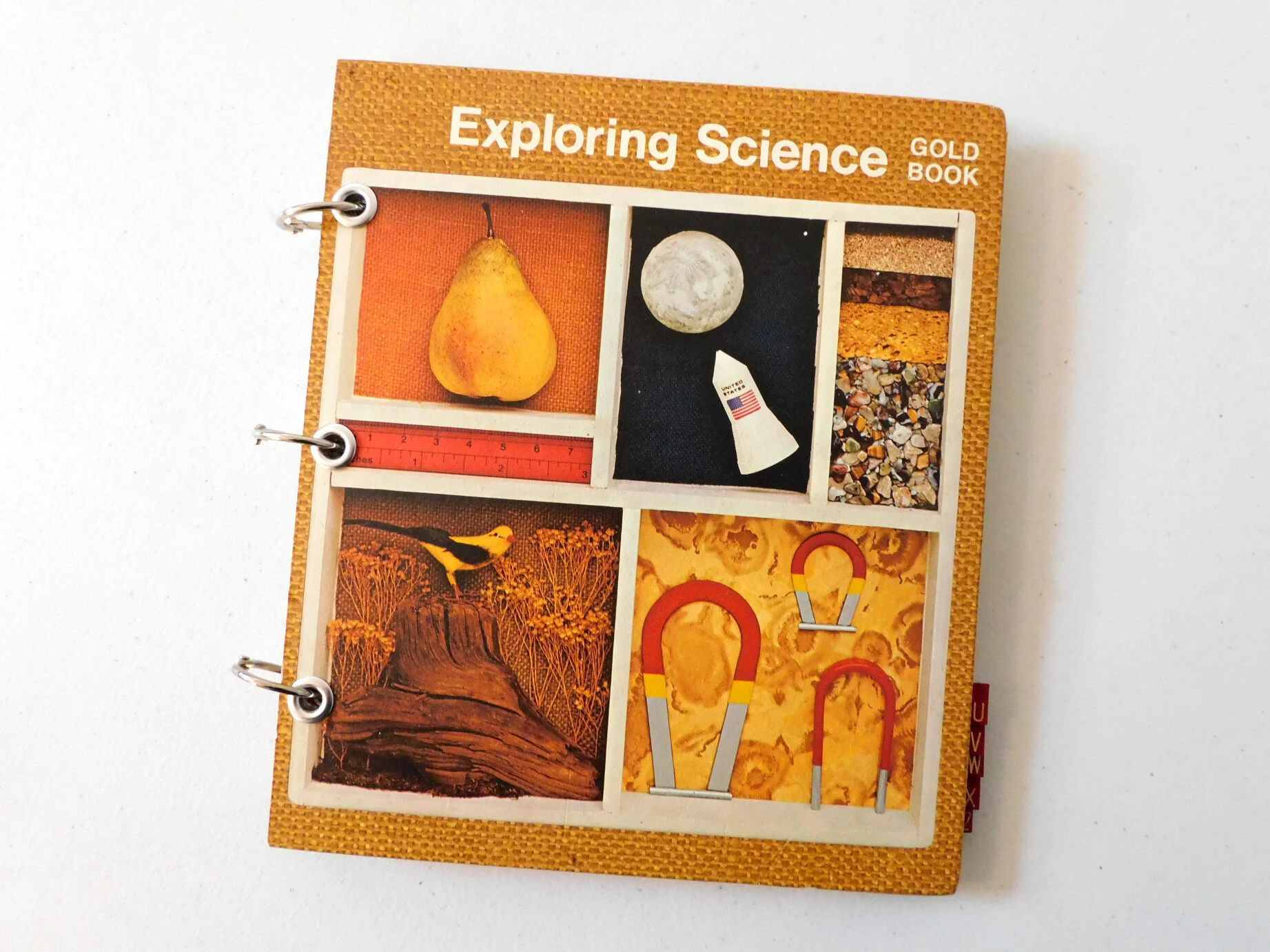 Exploring Science School-Themed Journal