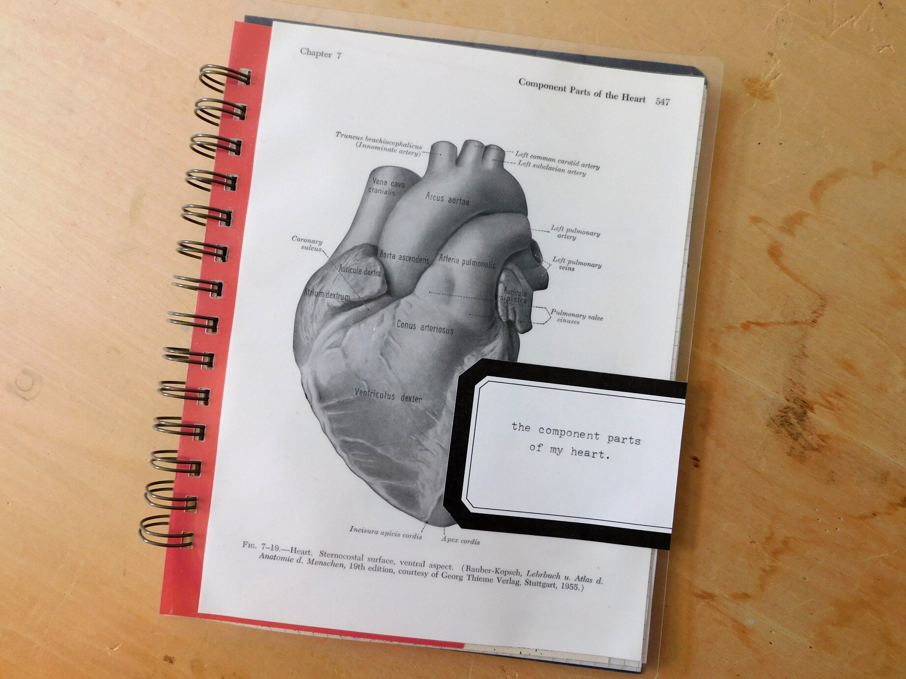 The Component Parts of My Heart Memory Book